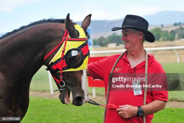 Tim Linehan 152 Squizzy Taylor Photos & High Res Pictures - Getty Images