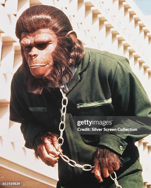 Actor Roddy McDowall as Caesar in 'Conquest of the Planet of the Apes', 1972.