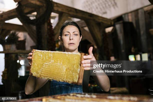 organic farmer collecting honey - beekeeper stock-fotos und bilder