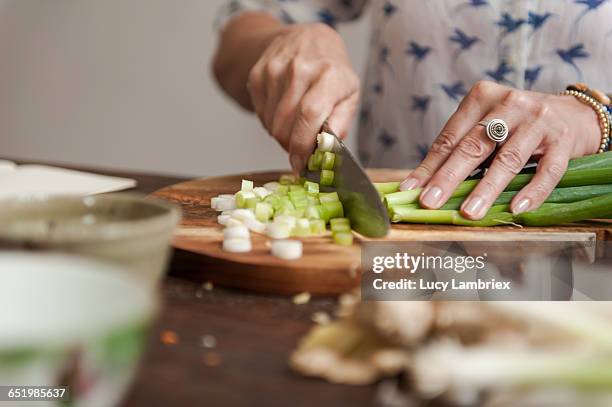 making kimchi: cutting scallions - cebolla de primavera fotografías e imágenes de stock