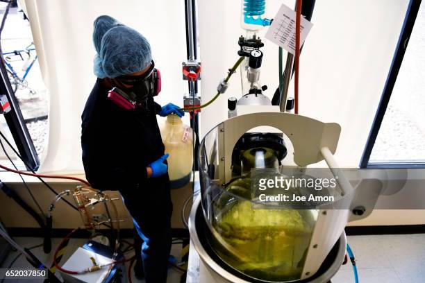 Extraction technician Jacob Ostler loading the filtered hemp extract solution into a rotary evaporator to remove the 99% isopropyl alcohol from the...