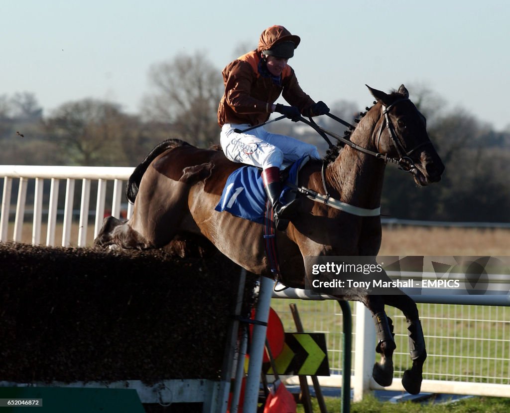 Horse Racing - Warwick Races