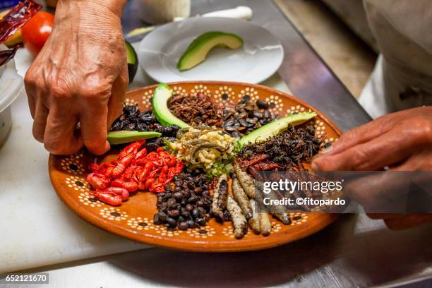 edible insects prepared by a mexican chef - insecto fotografías e imágenes de stock