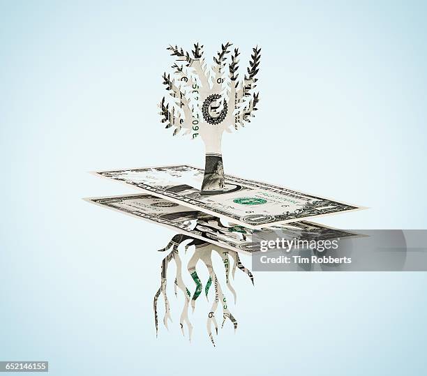 paper-cut dollar - tree and roots. - cut up dollar bill stock pictures, royalty-free photos & images