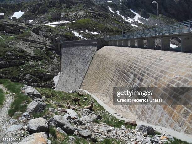 50 Cingino Dam Stock Photos High Res Pictures And Images Getty Images 50-cingino-dam-stock-photos-high-res-pictures-and-images-getty-images