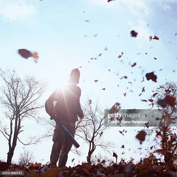 man using leaf blower - leaf blower stock pictures, royalty-free photos & images