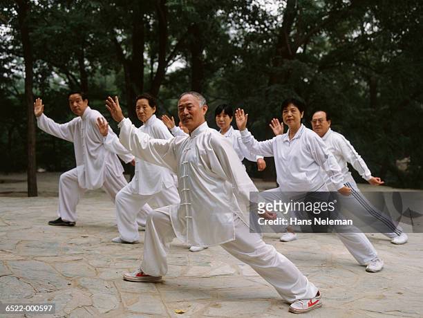 people doing tai chi - arts martiaux stock-fotos und bilder
