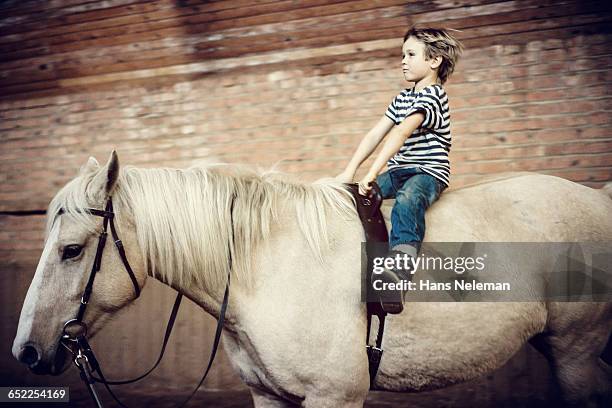 boy riding a horse in a stable - working animal stock pictures, royalty-free photos & images