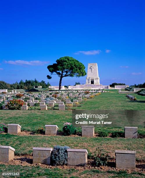 lone pine cemetery - bataille des dardanelles photos et images de collection