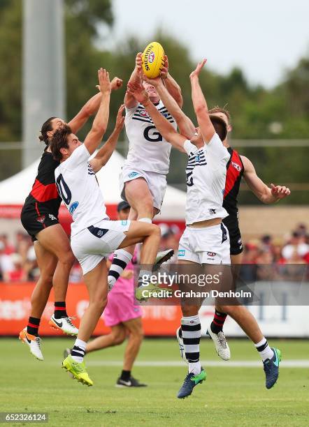 Patrick Dangerfield of the Cats takes a mark during the JLT Community Series AFL match between the Geelong Cats and the Essendon Bombers at Queen...