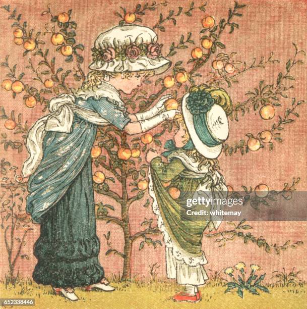 regency style girls picking peaches in a summer garden - garden wall stock illustrations