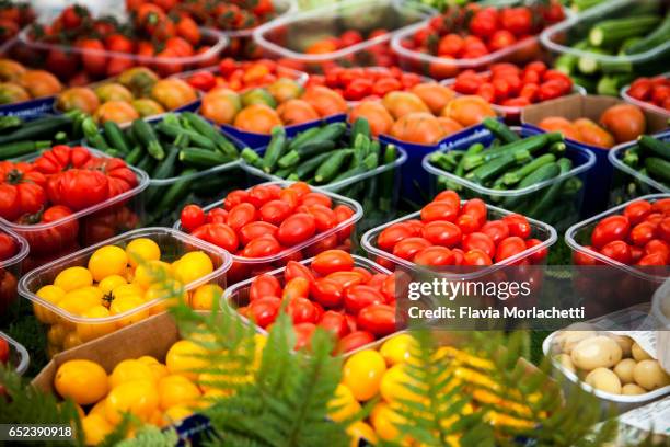 fresh vegetables in campo di fiore street market, rome - fiore di campo fotografías e imágenes de stock