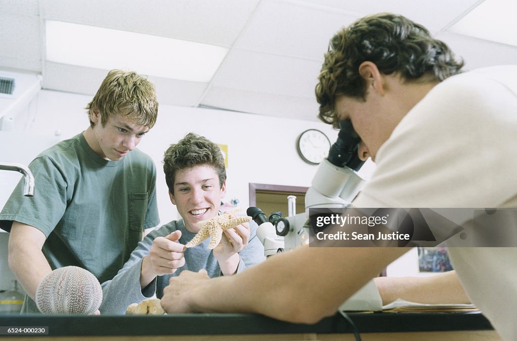 Boys Looking at Sea Star