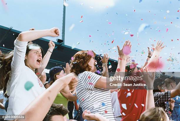 baseball spectators - cheering stock pictures, royalty-free photos & images