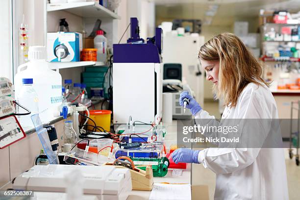 Science Laboratory High-Res Stock Photo - Getty Images
