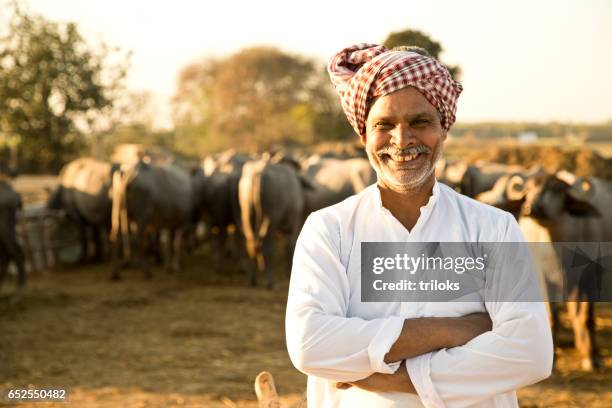 ritratto di pastore di bufali - indian animals foto e immagini stock
