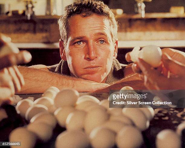 American actor Paul Newman as Luke, attempting to eat fifty hard-boiled eggs in an hour in the film 'Cool Hand Luke', 1967.