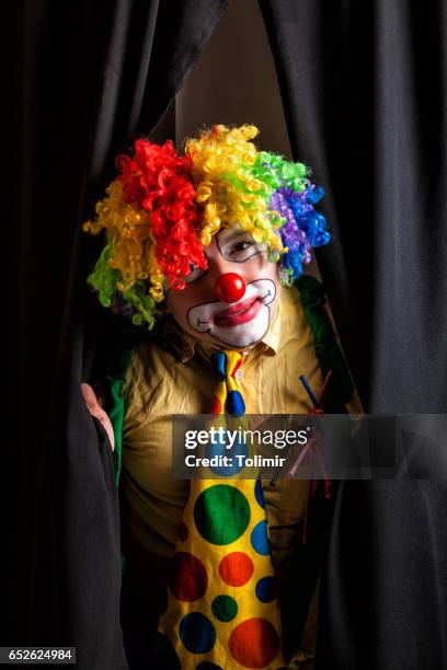 clown with stage curtains - a fool stock pictures, royalty-free photos & images