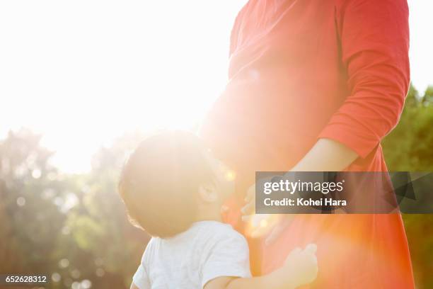 a son kissing a stomach of pregnant mother in the park - belly kissing stock pictures, royalty-free photos & images