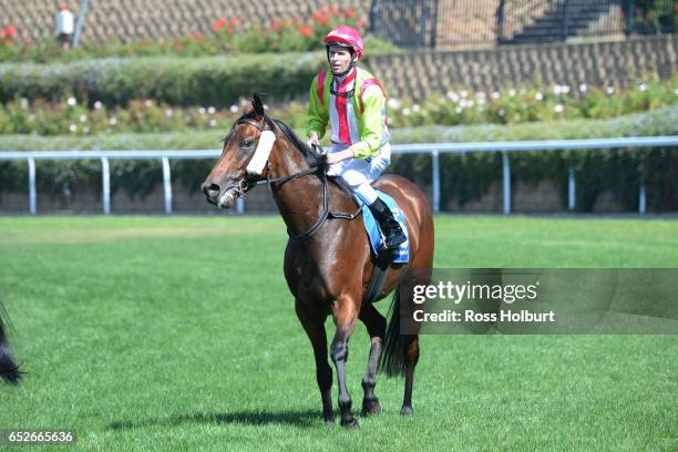 Steven Arnold returns to the mounting yard on Montoya's Secret after winning Jeep City Hawk Handicap at Moonee Valley Racecourse on March 13, 2017 in...