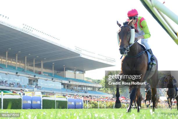 Montoya's Secret ridden by Steven Arnold wins the Jeep City Hawk Handicap at Moonee Valley Racecourse on March 13, 2017 in Moonee Ponds, Australia.