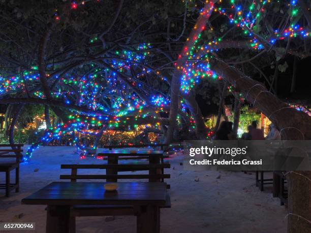 maldivian island celebrating christmas eve - southern hemisphere fotografías e imágenes de stock