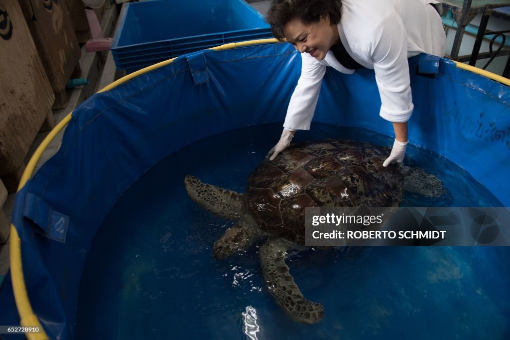 THAILAND-ANIMALS-TURTLE
