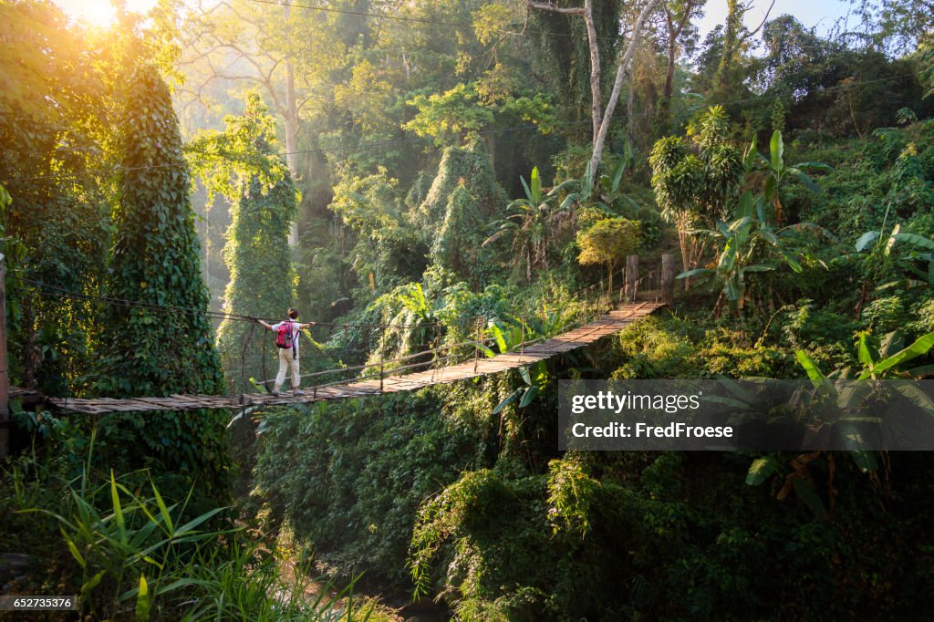 Backpacker on suspension bridge in rainforest