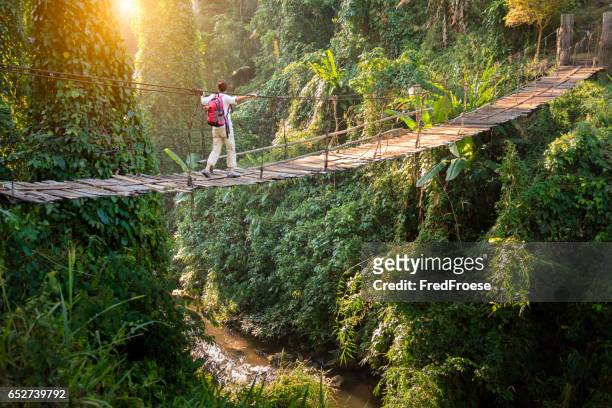 backpacker en puente en la selva - turismo ecológico fotografías e imágenes de stock