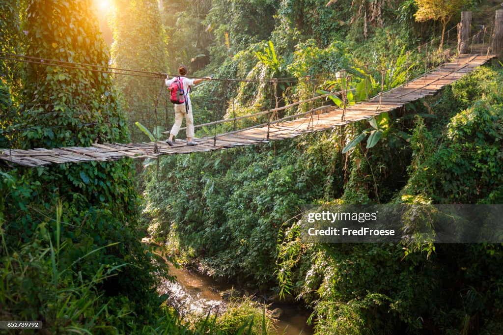 Backpacker on suspension bridge in rainforest