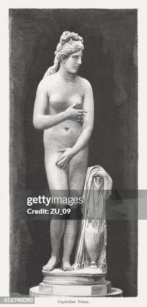 capitoline venus, ancient sculpture, wood engraving, published in 1884 - capitol rome stock illustrations