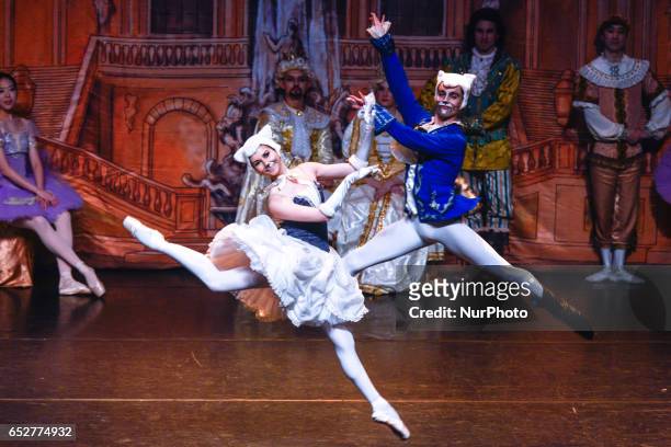 Natalia Gubanova and Alexey Gerasimov in the role of the White Cat and Puss in Boots, in 'Sleeping Beauty' by The Royal Moscow Ballet during their...