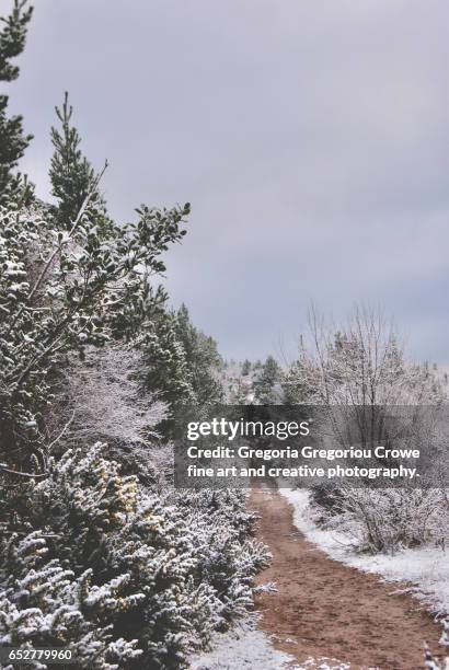 winter scene - gregoria gregoriou crowe fine art and creative photography fotografías e imágenes de stock