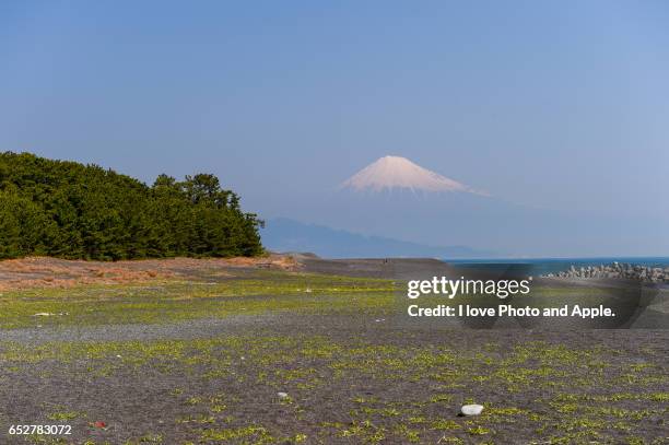 fuji view from "miho no matsubara" - 静岡県 stockfoto's en -beelden