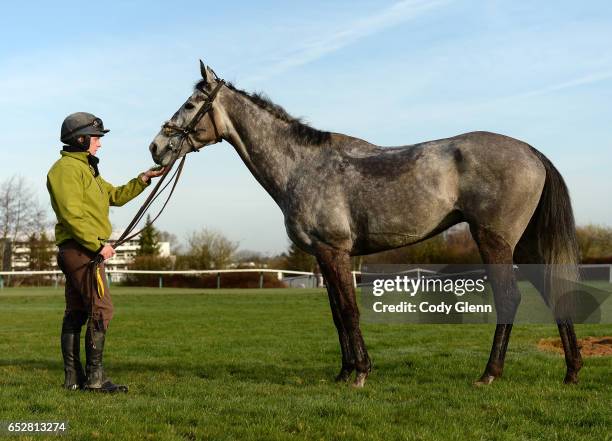 Cheltenham , United Kingdom - 13 March 2017; Rider Stephen Dunphy with Petit Mouchoir on the gallops prior to the start of the Cheltenham Racing...