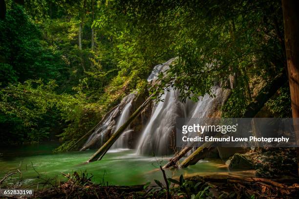 batanta island waterfall, indonesia - raja ampat islands 個照片及圖片檔