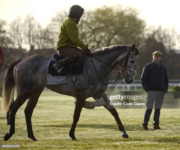 Cheltenham , United Kingdom - 13 March 2017; Trainer Henry de Bromhead looks on as Petit Mouchoir, with Stephen Dunphy up, trot past on the gallops...