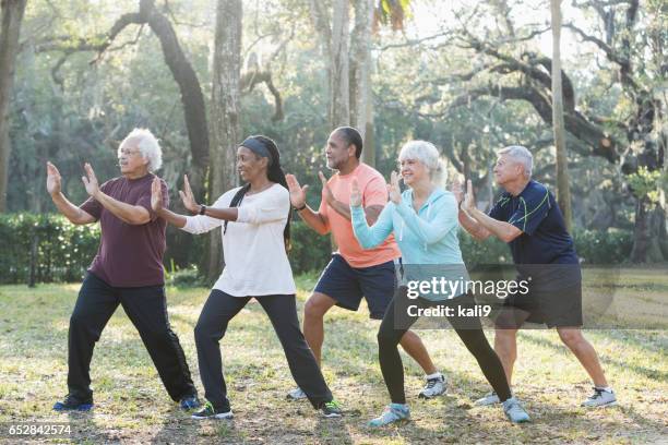 gruppo multietnico di anziani che prendono la classe tai chi - taijiquan foto e immagini stock