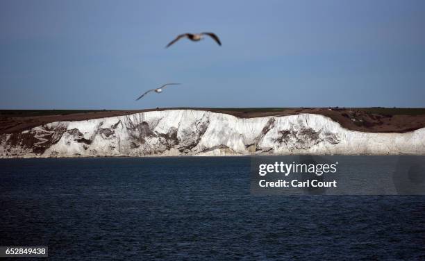 Gulls fly near the White Cliffs of Dover on March 13, 2017 in Dover, England. The White Cliffs of Dover are identified as a British Icon and as they...