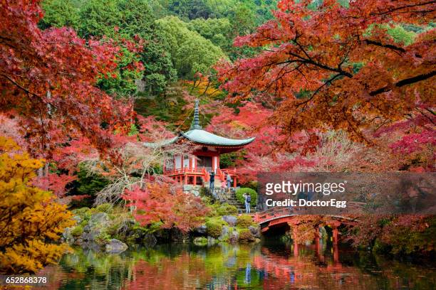 tourist enjoy colourful maple leaves at bentendo hall, daigoji temple in autumn - daigoji stock pictures, royalty-free photos & images