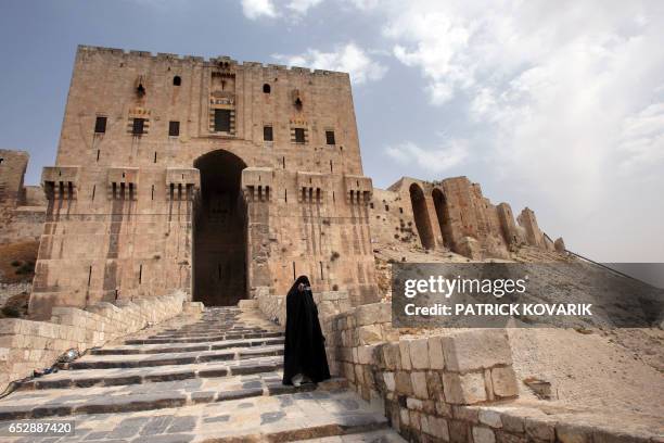 View of the entrance of the Citadel of Aleppo on August 28, 2008 in the centre of the old city of Aleppo, northern Syria. The Citadel of Aleppo is a...