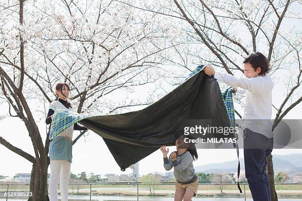 japanese families came to picnic - midday stock pictures, royalty-free photos & images