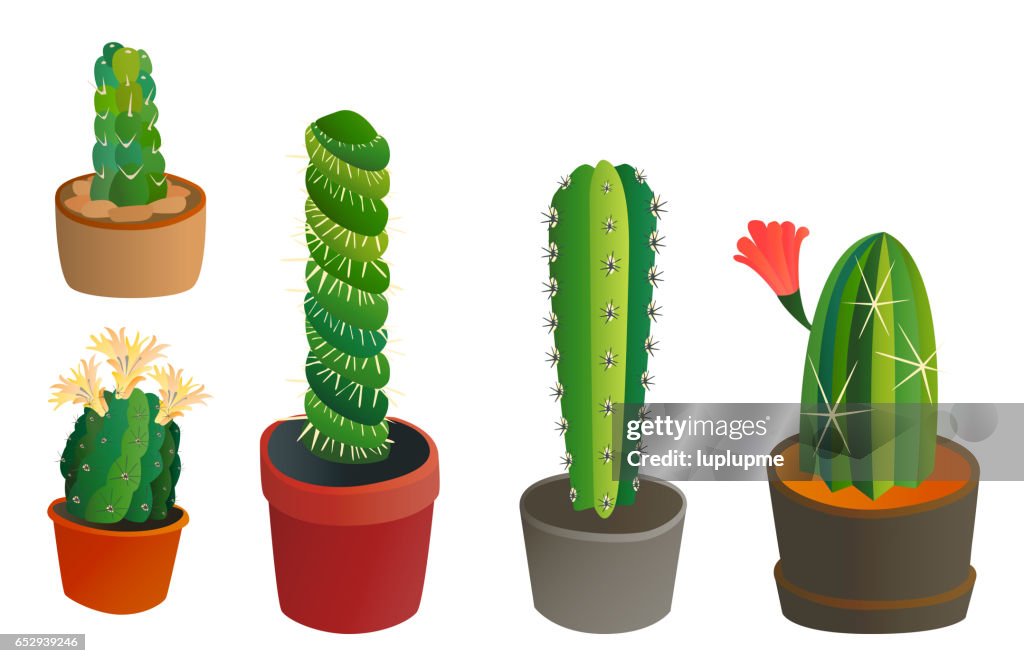 Cactus Estilo Plano Naturaleza Naturaleza Desierto Flor Verde Dibujos Animados Dibujo Gráfico Mexicano Suculento Y Planta Tropical Jardín Arte Cactus Floral Vector Ilustración Ilustración de stock - Getty Images Cactus Estilo Plano Naturaleza Naturaleza Desierto Flor Verde Dibujos Animados Dibujo Gráfico Mexicano Suculento Y Planta Tropical Jardín Arte Cactus Floral Vector Ilustración Ilustración de stock - Getty Images