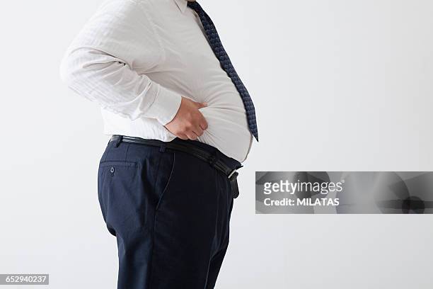 middle-aged of japanese man wearing a suit - fat man in suit stock pictures, royalty-free photos & images