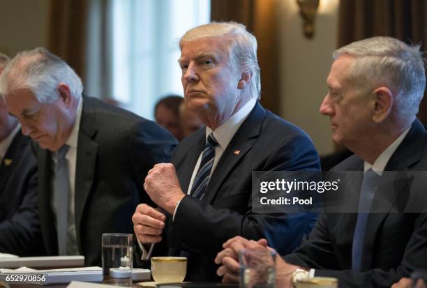 President Donald Trump holds a meeting with members of his cabinet including Secretary of State Rex Tillerson and Secretary of Defense James Mattis...