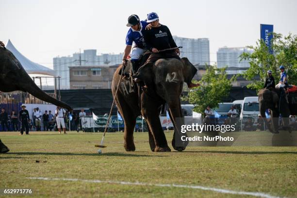 Polo player rides an elephant during the 2017 King's Cup Elephant Polo tournament at Anantara Chaopraya Resort in Bangkok, Thailand on March 12,...