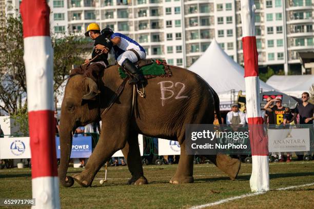 Polo player rides an elephant during the 2017 King's Cup Elephant Polo tournament at Anantara Chaopraya Resort in Bangkok, Thailand on March 12,...