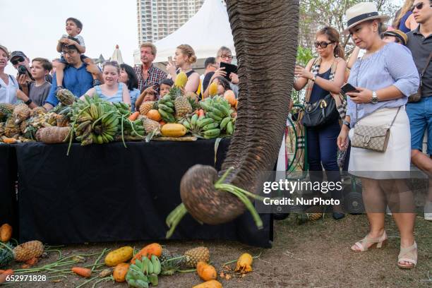 Elephants enjoy their buffet before starting the polo match during the 2017 King's Cup Elephant Polo tournament at Anantara Chaopraya Resort in...