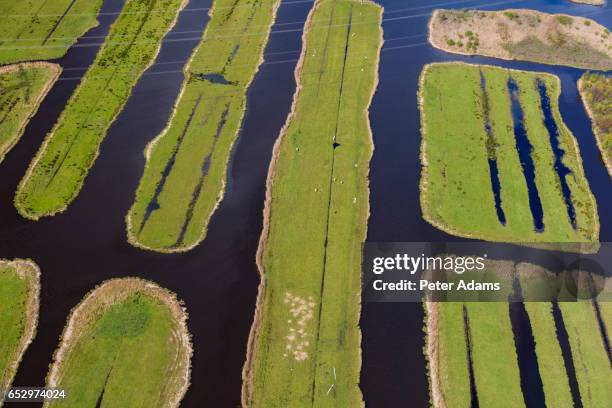 Polder Example Geography 3,157 Polder Stock Photos, High-Res Pictures, and Images - Getty Images