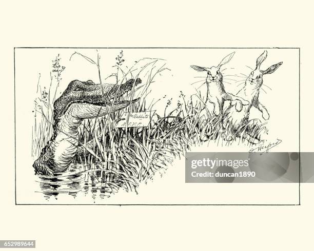anthropomorphism - crocodile giving an invitation to some rabbits - crocodile stock illustrations